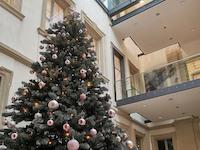 weihnachtsbaum_innenhof_cc0_640x480