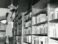 Das Bild der auf einer Leiter balancierenden Elisabeth Jung belegt die gefährlichen Arbeitsbedingungen im Altstädter Rathaus. Foto 1950.